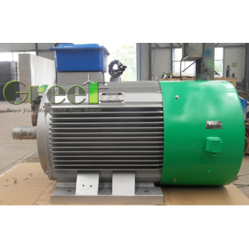 100KW 50 rpm três fase Pmg com BV